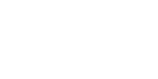 Niroshini Accupuncture logo